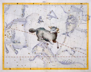 Konstellation des Widders, Tafel 4 aus 